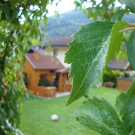 Appartamento Haus Schnepfleitner Dorfgastein Esterno foto