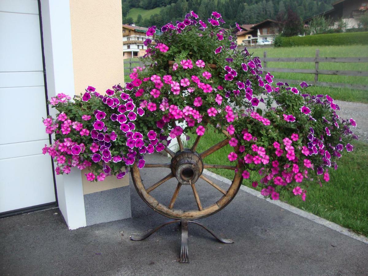 Appartamento Haus Schnepfleitner Dorfgastein Esterno foto