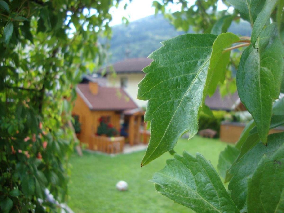 Appartamento Haus Schnepfleitner Dorfgastein Esterno foto